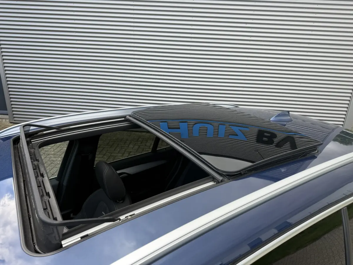 xDrive 25e Advantage Panoramadak Trekhaak LED Achteruitrijcamera Navi Pro HiFi-speakersysteem DAB Carplay
