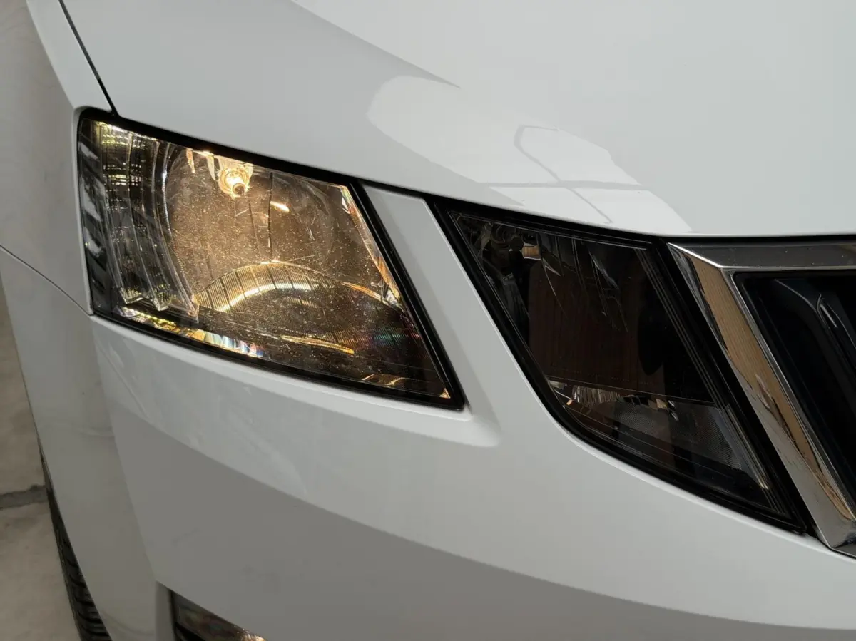 1.0 TSI Greentech Style Business Automaat | Apple CarPlay/Android Auto | Cruise & climate control | DAB ontvanger | Lichtmetalen velgen | Parkeersensoren achter | Voorstoelen verwarmd | Trek