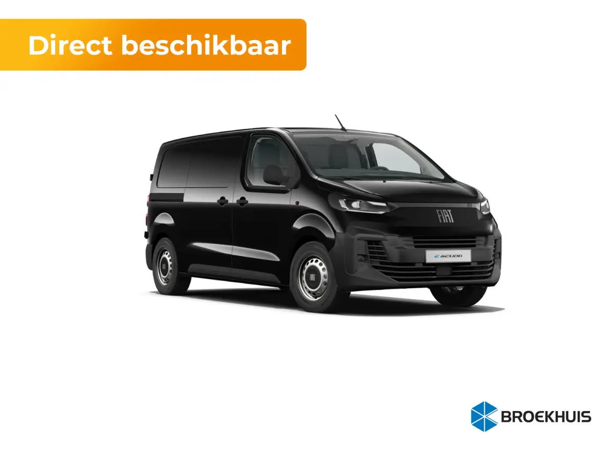 Professional Standaard | ABS met noodremassistentie / ESP en Hill Start Assist | Automatisch inschakelende verlichting en ruitenwissers | Cruise control met snelheidsbegrenzer (bediening ach