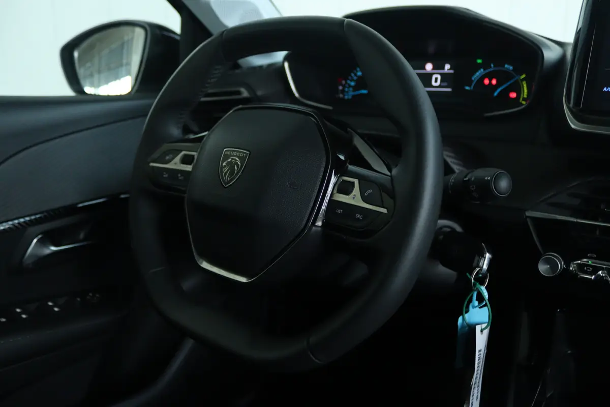 Hybrid 110 e-DCS6 Active | Cruise Control | Carplay | LED | Airco | Sensoren | Elektr. Ramen