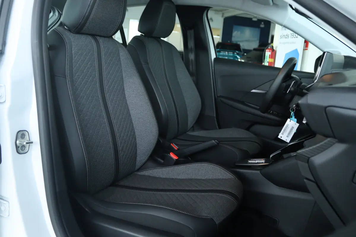 Hybrid 110 e-DCS6 Active | Cruise Control | Carplay | LED | Airco | Sensoren | Elektr. Ramen