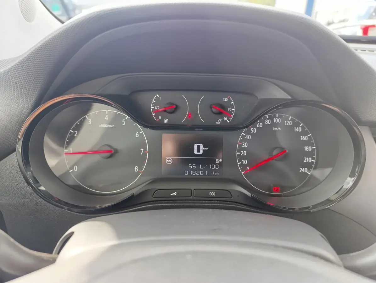 1.2 Selection | Cruise Control | Dealeronderhouden | Metallic lak
