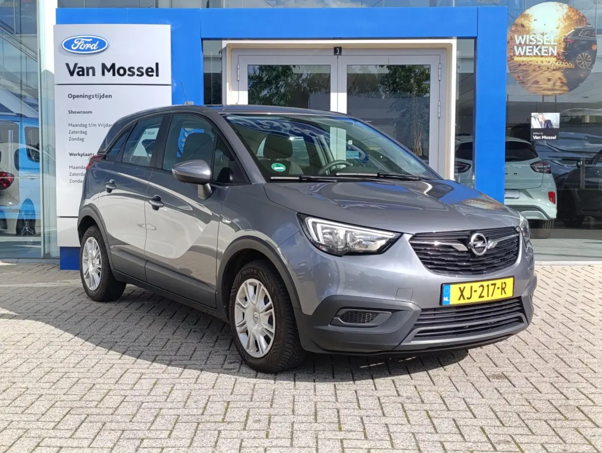 1.2 Selection | Cruise Control | Dealeronderhouden | Metallic lak