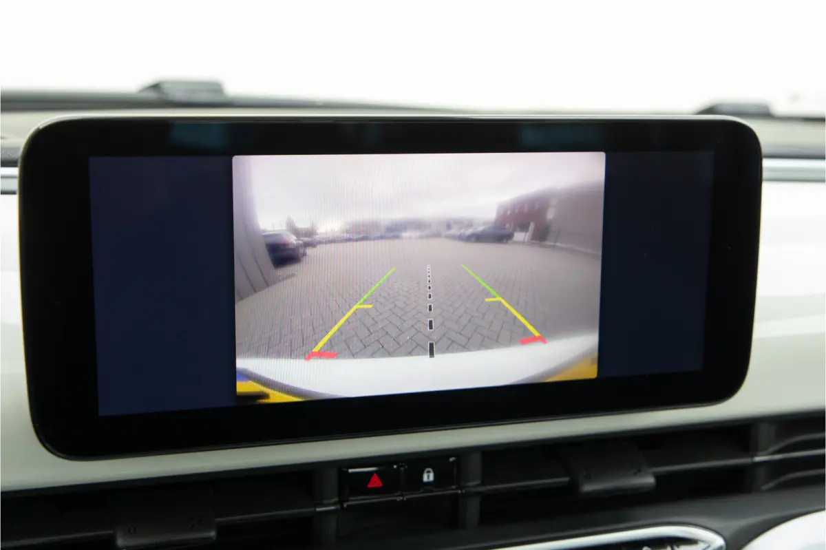 Icon 42 kWh Panorama, Carplay, Stoelverwarming