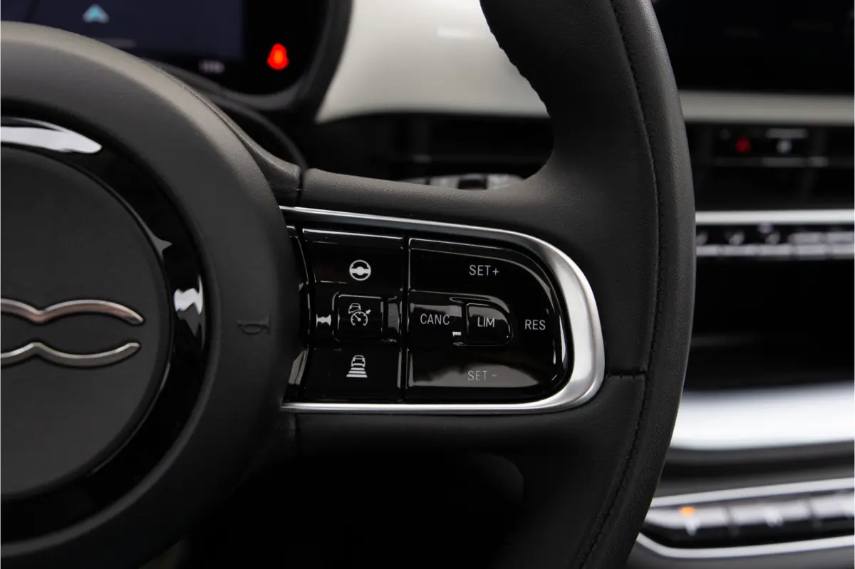 Icon 42 kWh Panorama, Carplay, Stoelverwarming