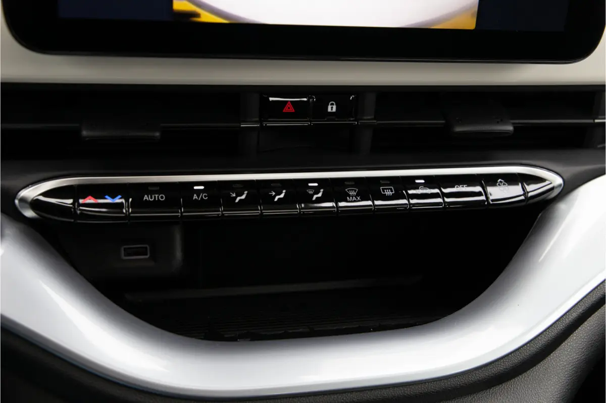 Icon 42 kWh Panorama, Carplay, Stoelverwarming
