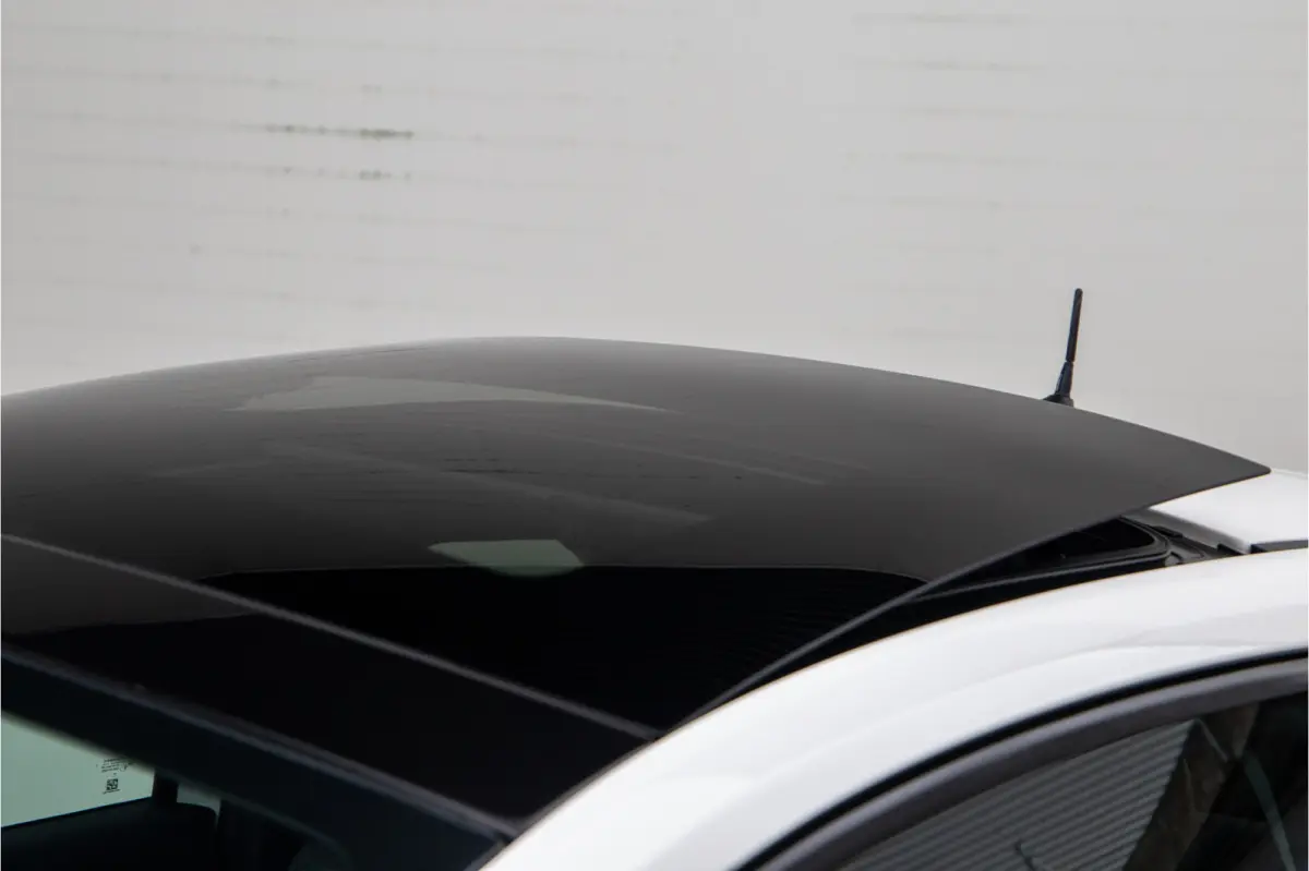 Icon 42 kWh Panorama, Carplay, Stoelverwarming
