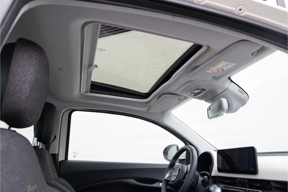 Icon 42 kWh Panorama, Carplay, Stoelverwarming