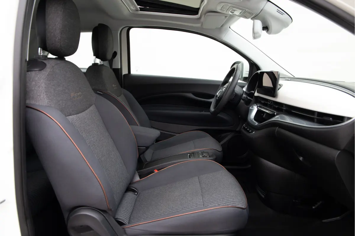 Icon 42 kWh Panorama, Carplay, Stoelverwarming