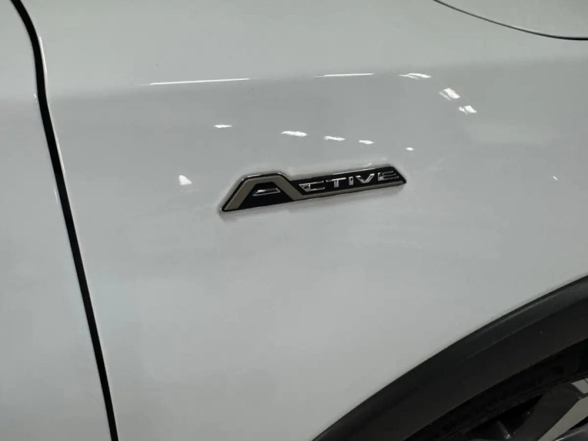 ACTIVE / AppleCarplay / Cruise / Stoelverwarming / Stuurverwarming / PDC / Boekjes en historie aanwezig.
