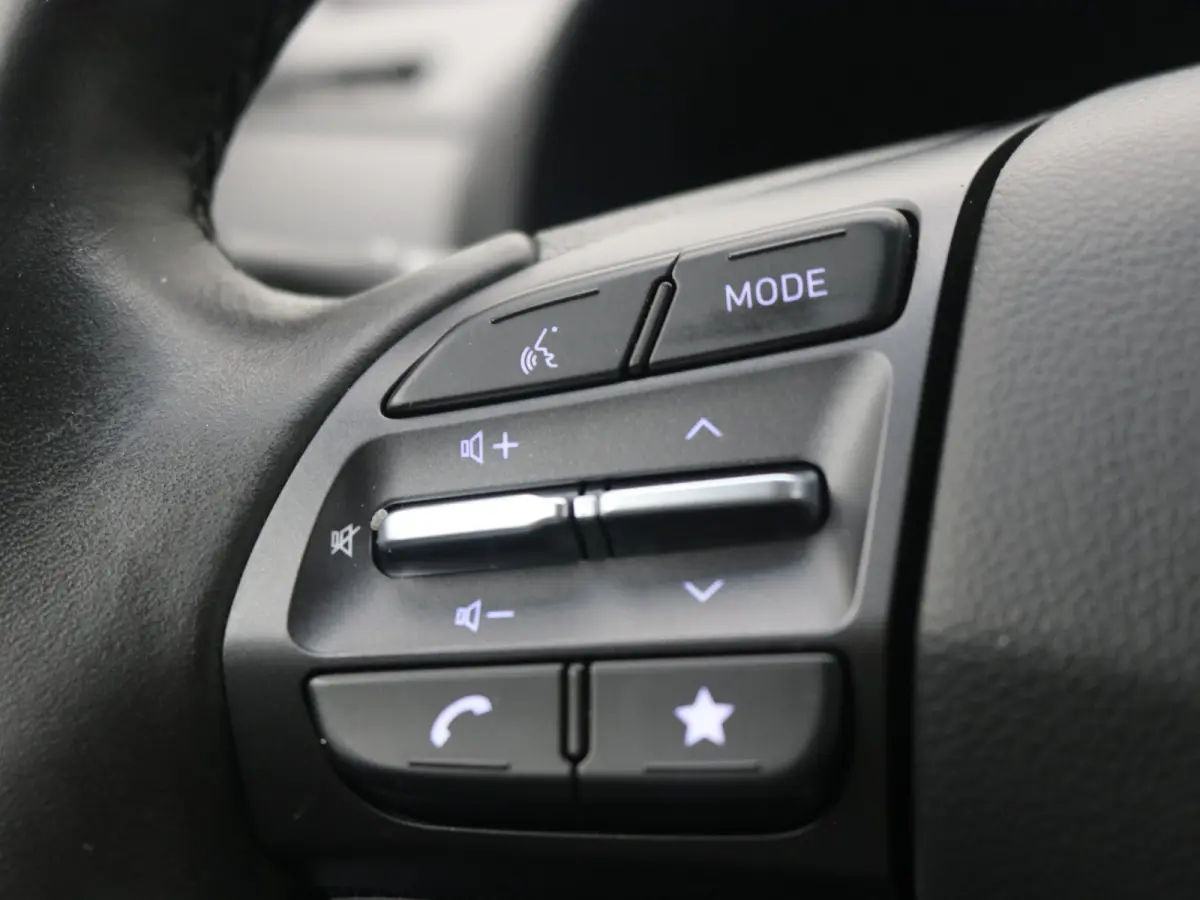 EV Premium 64 kWh SOH 100% / 1ste eigenaar | Achterbank verwarmd | Achteruitrijcamera | Apple Carplay/Android Auto|telefoonintegratie premium
