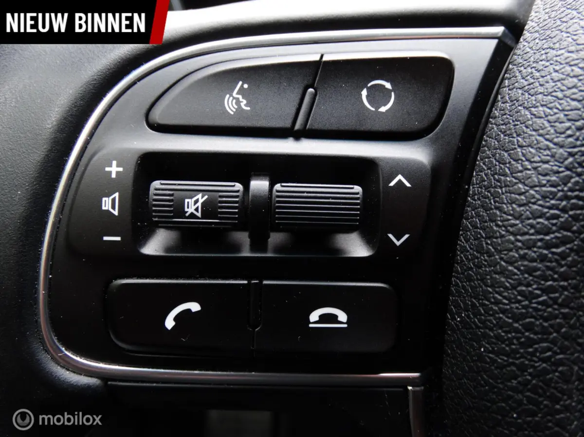 1.6 GDi PHEV DynamicPlusLine | Afneembare trekhaak