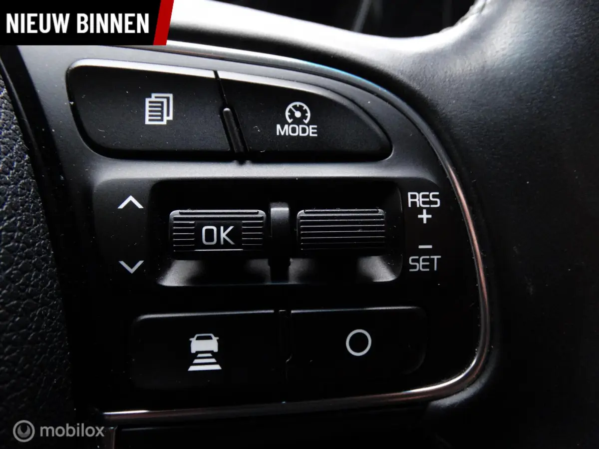 1.6 GDi PHEV DynamicPlusLine | Afneembare trekhaak