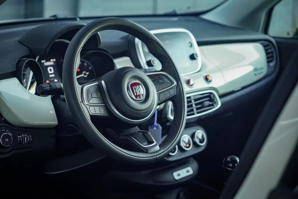 1.0 GSE Urban 120TH Edition / Parelmoer / NL auto / Carplay