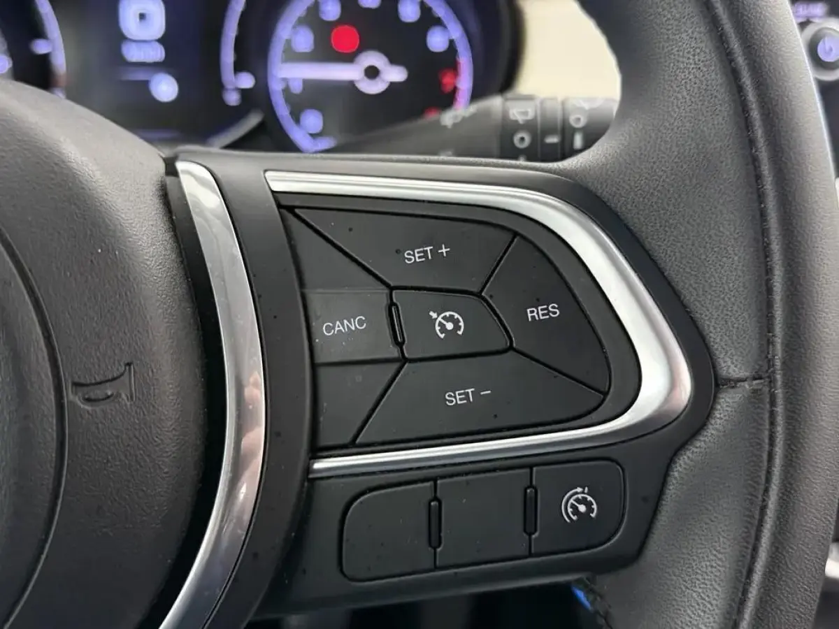 1.0 GSE Urban 120TH Edition / Parelmoer / NL auto / Carplay