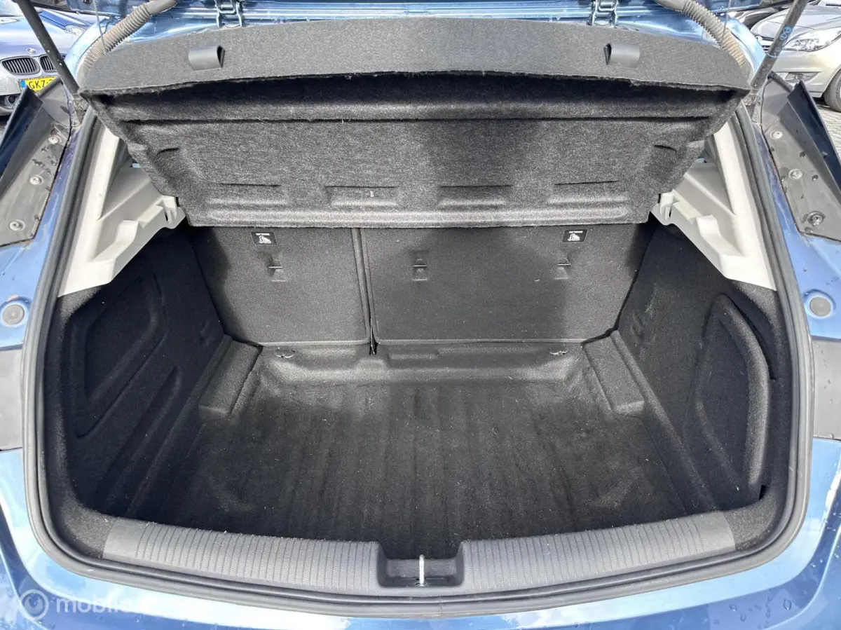 1.0 Online Edition | Carplay | Navigatie |