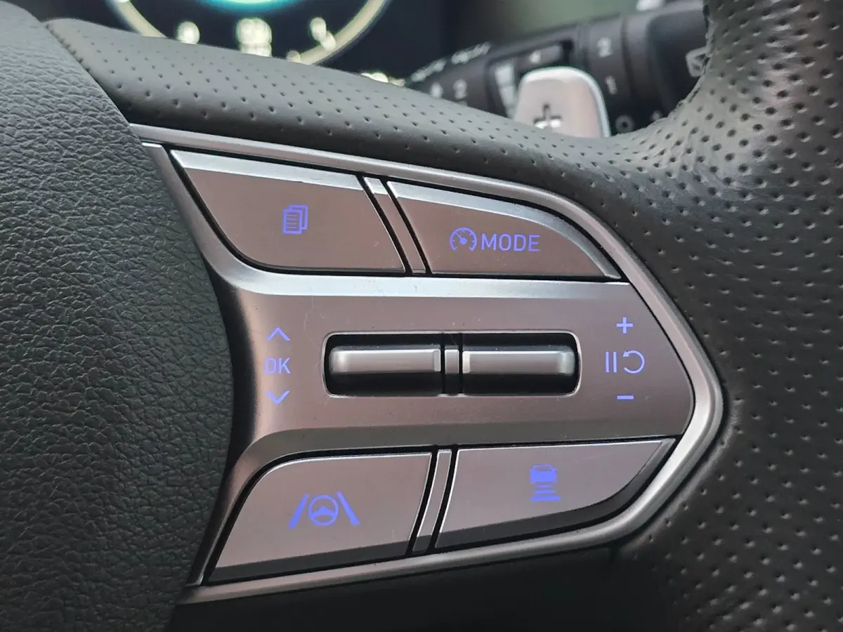 1.6 T-GDI PHEV Premium Plus Sky 7 Persoons / Schermen / Leder / Head Up / Memory / Pano / Verkoeling / Led / Pdc