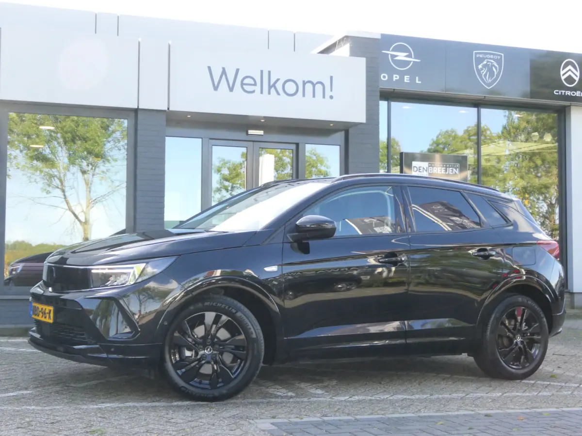 1.6 Turbo Plug-In Hybrid GS | Winter Pack | Black Pack