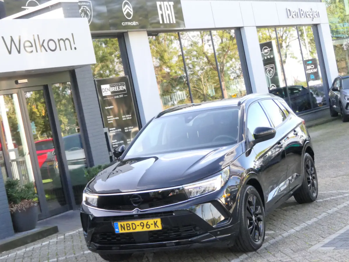 1.6 Turbo Plug-In Hybrid GS | Winter Pack | Black Pack