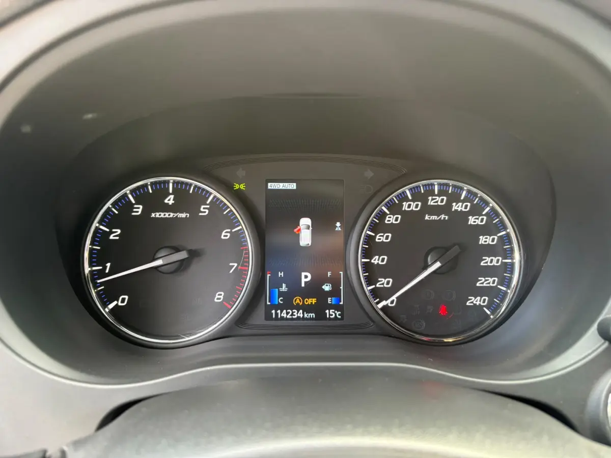 2.0 Benzine 4WD AUTOMAAT,LEER,CAMERA, 7 persoons