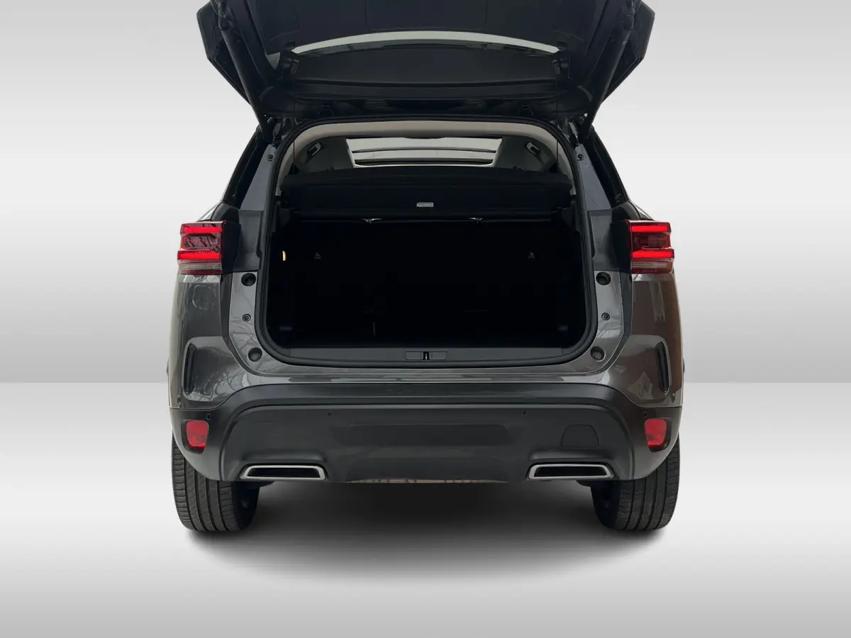 Plug-in Hybrid 225pk EAT8 Max | Automaat | Panoramadak | 19'' Art Black |