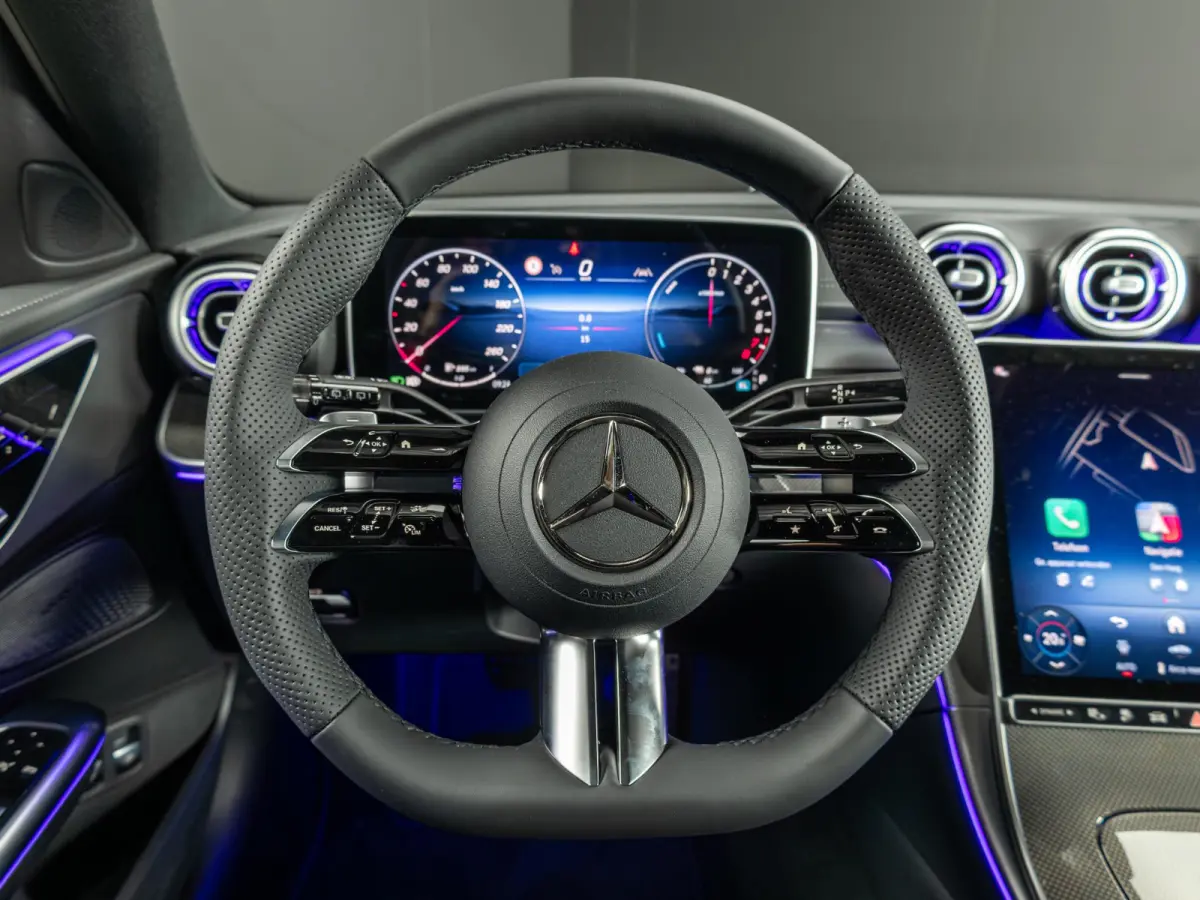 300 e Business Solution AMG Panorama dak | Trekhaak