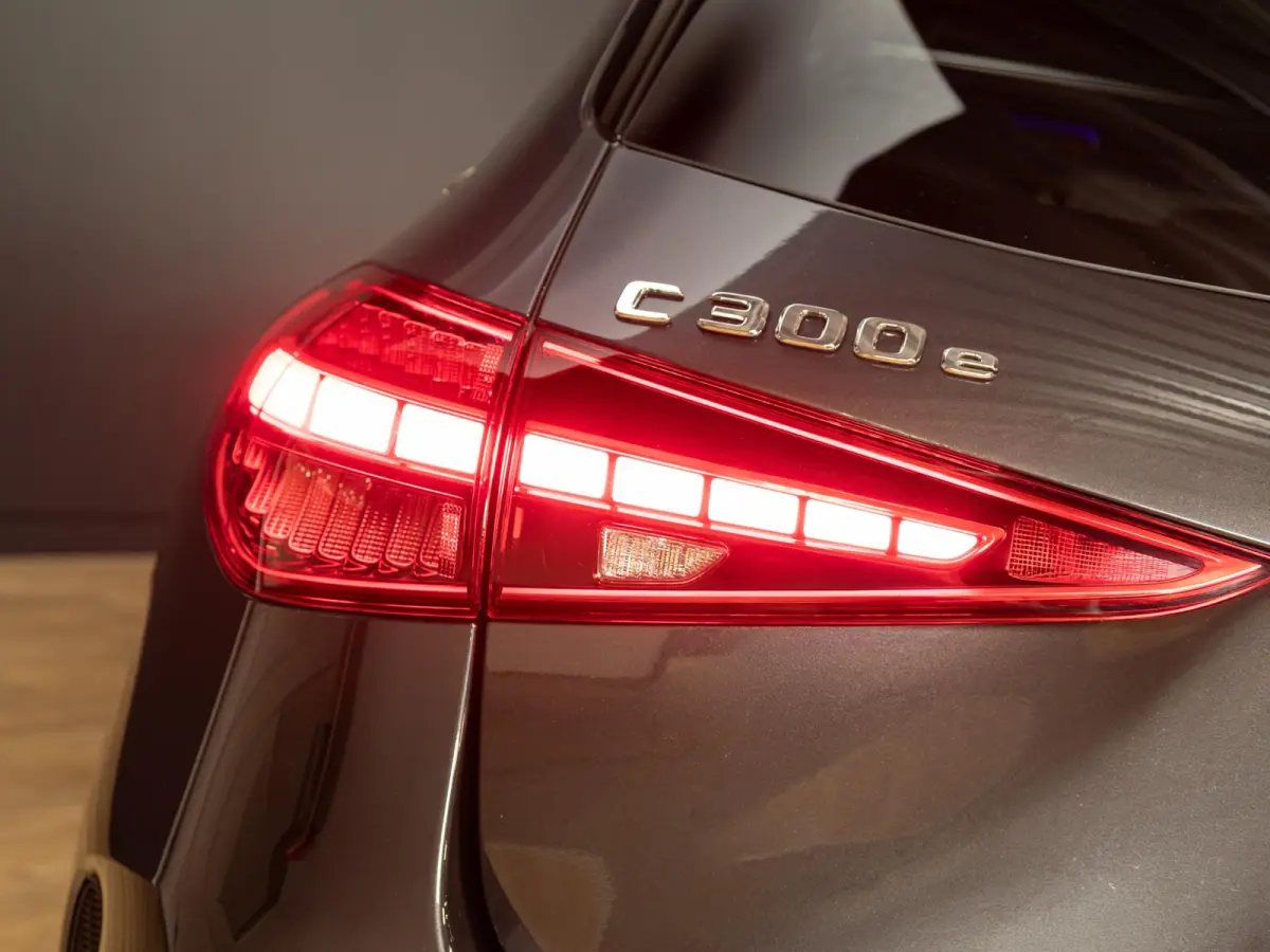 300 e Business Solution AMG Panorama dak | Trekhaak
