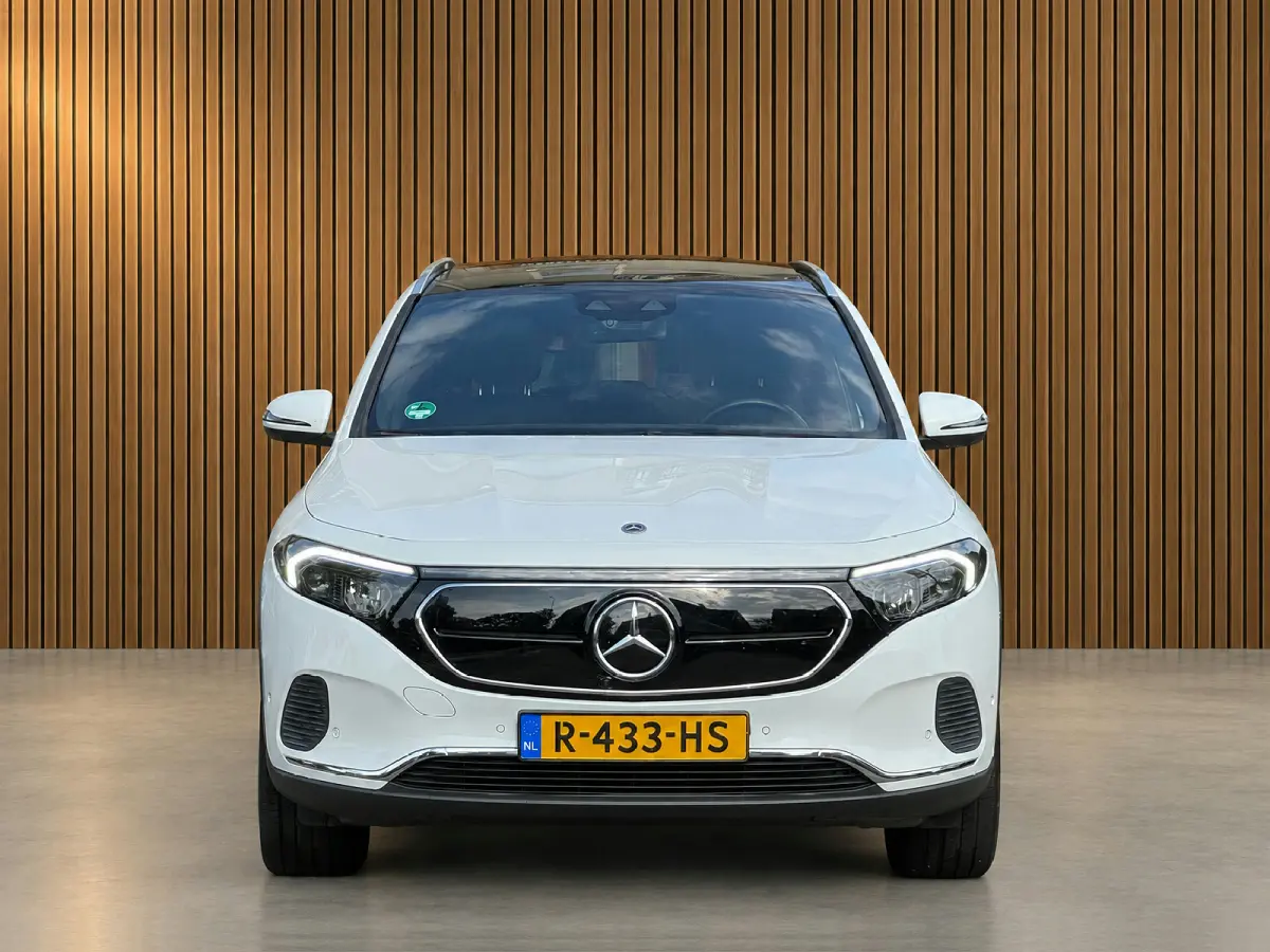 250 Luxury Line 67 kWh Burmester | 360 camera | Leder