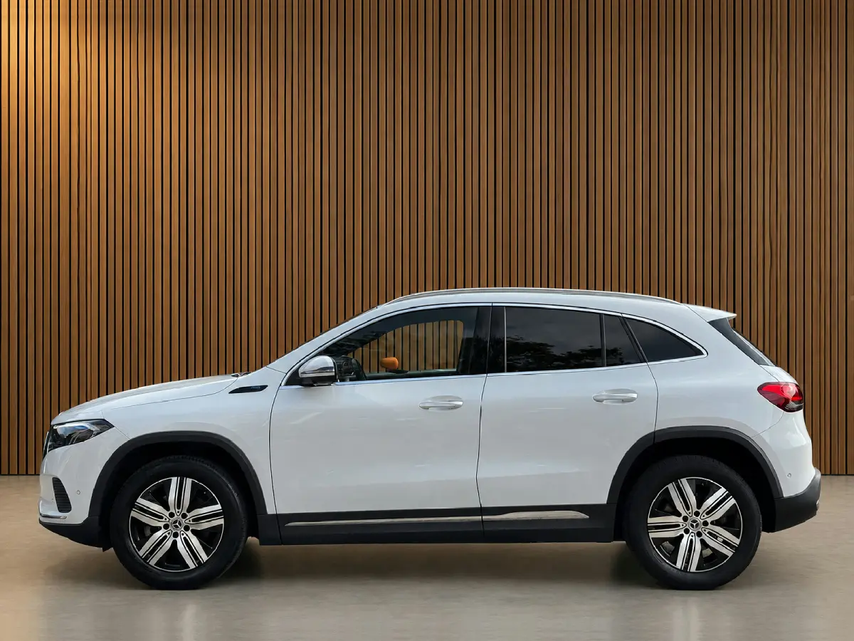 250 Luxury Line 67 kWh Burmester | 360 camera | Leder