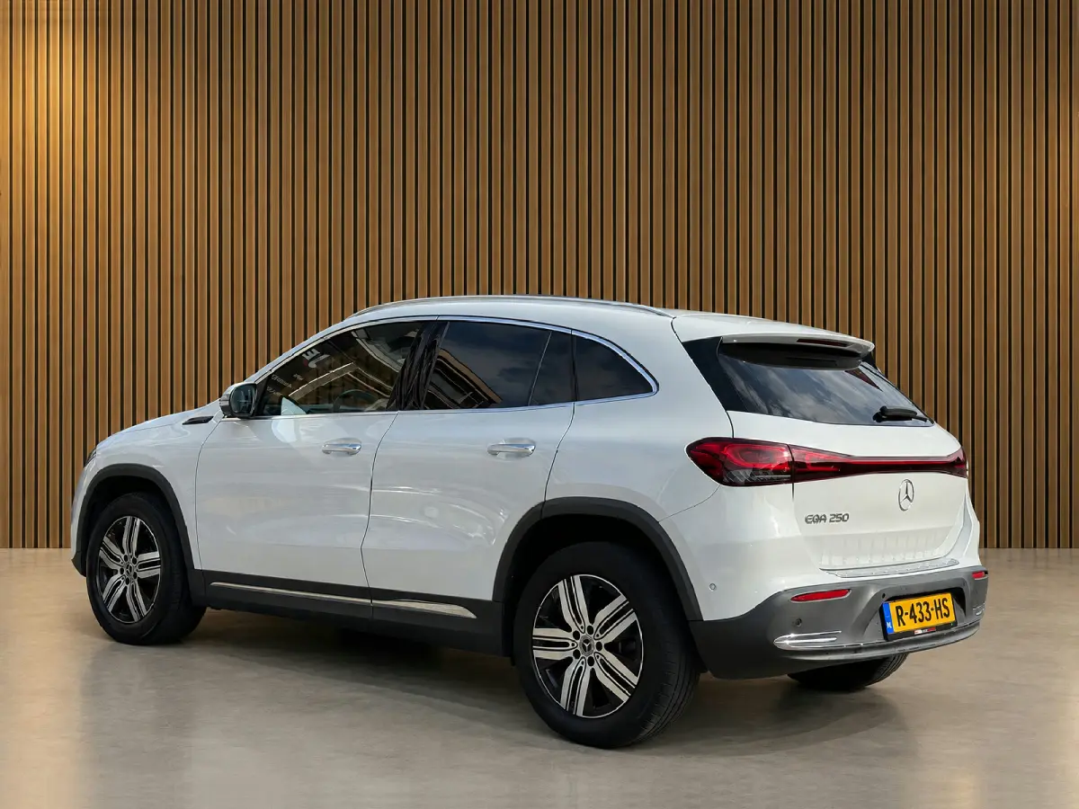 250 Luxury Line 67 kWh Burmester | 360 camera | Leder