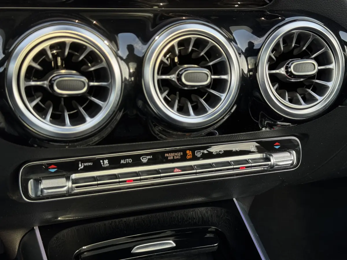 250 Luxury Line 67 kWh Burmester | 360 camera | Leder