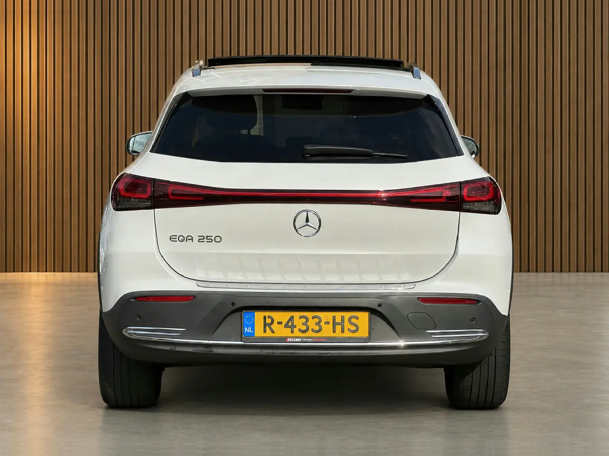 250 Luxury Line 67 kWh Burmester | 360 camera | Leder