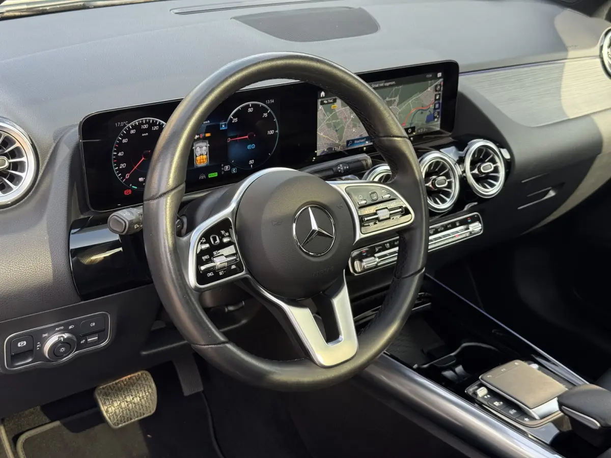 250 Luxury Line 67 kWh Burmester | 360 camera | Leder