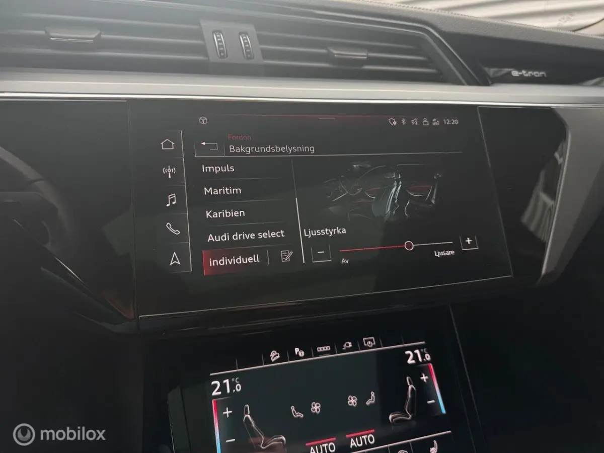 50 quattro S Edition 95kWh, B&O pan