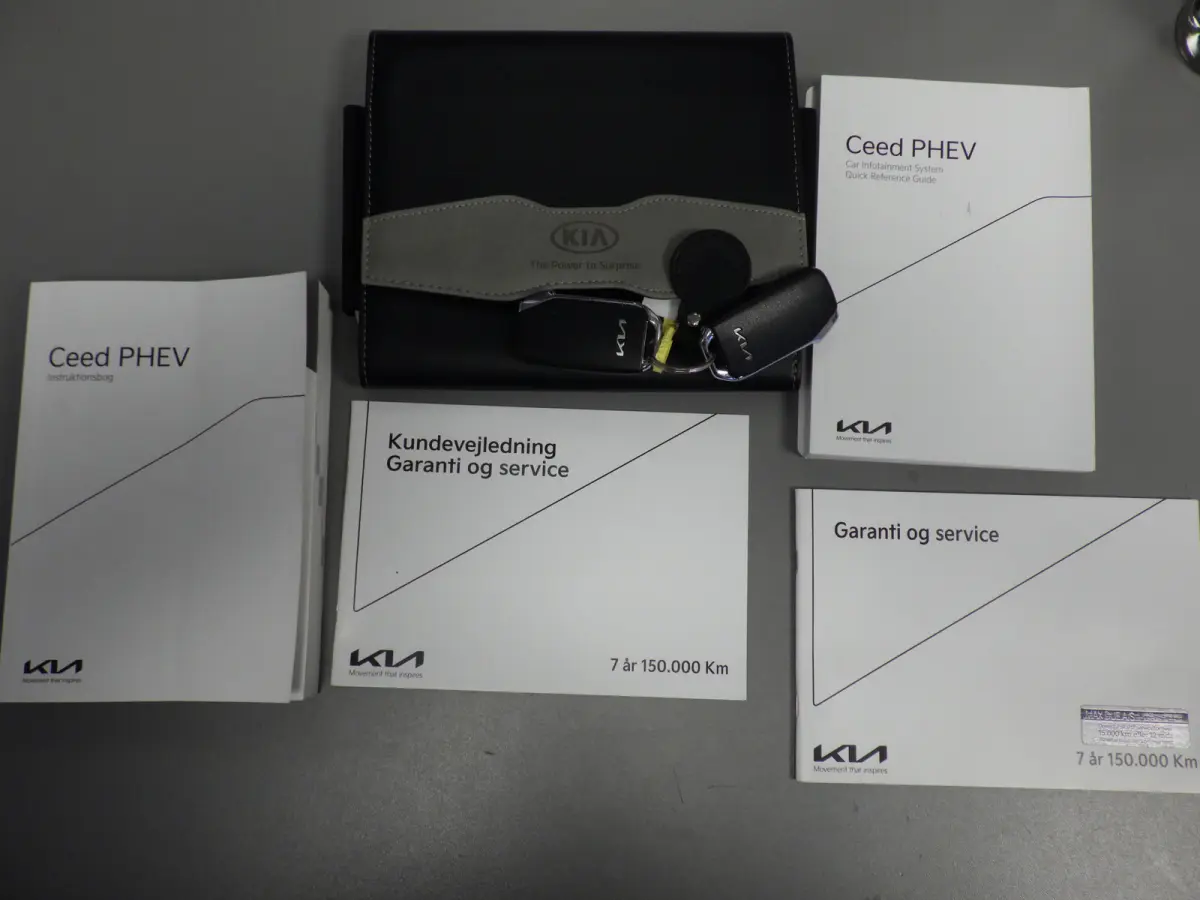 1.6 GDI Plug-In PHEV DynamicLine, Camera, Cruise, Facelift!