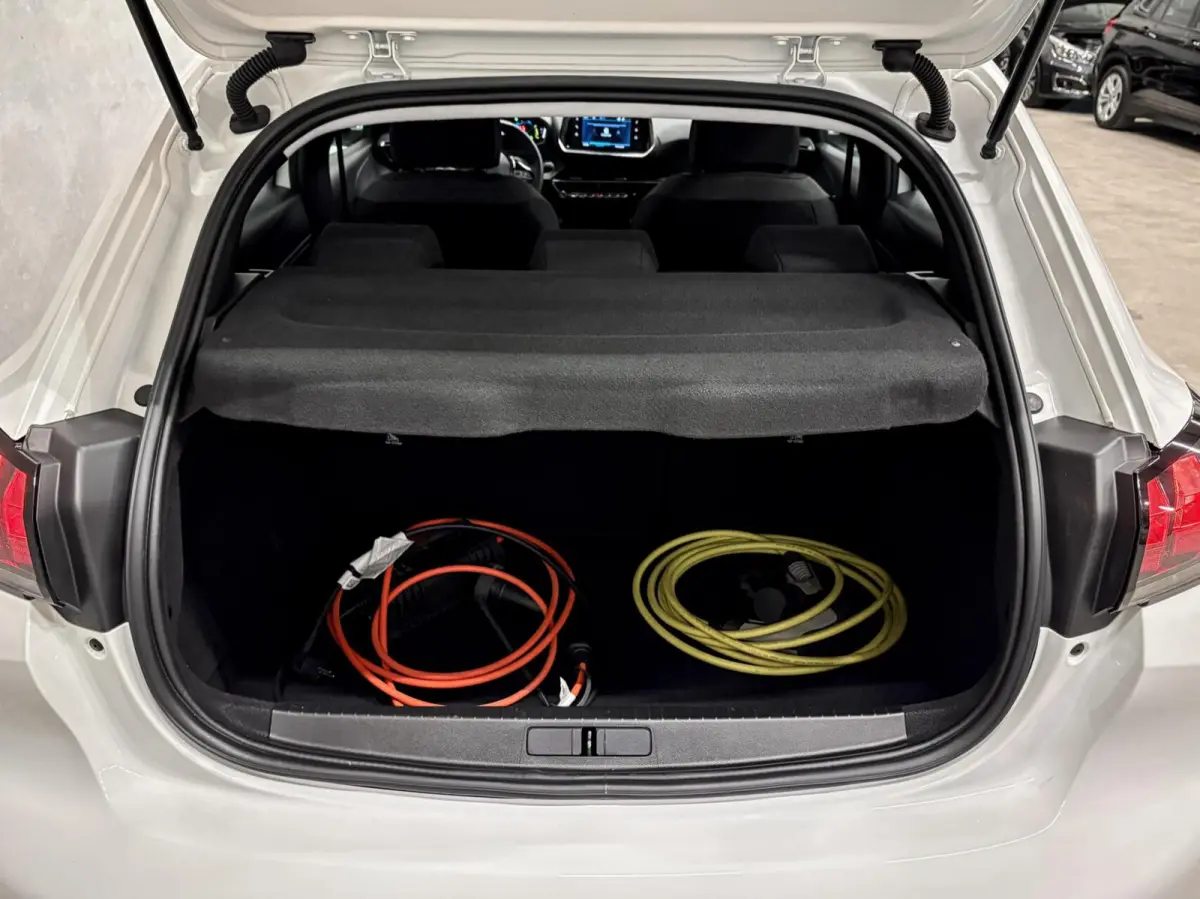 EV Active Pack 50 kWh|1e EIGENAAR|92% SOH|CLIMATE|PDC|CRUISE|CARPLAY|NAVI