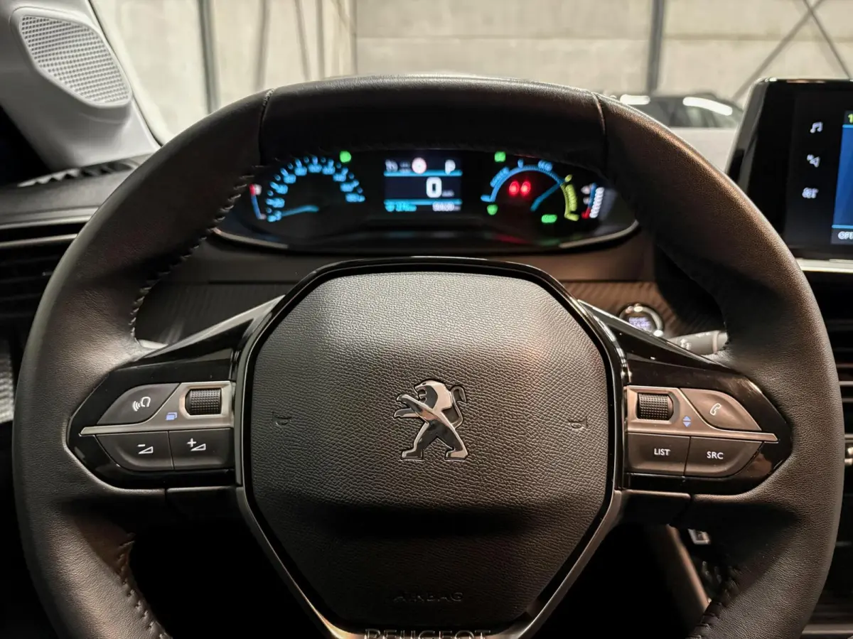 EV Active Pack 50 kWh|1e EIGENAAR|92% SOH|CLIMATE|PDC|CRUISE|CARPLAY|NAVI