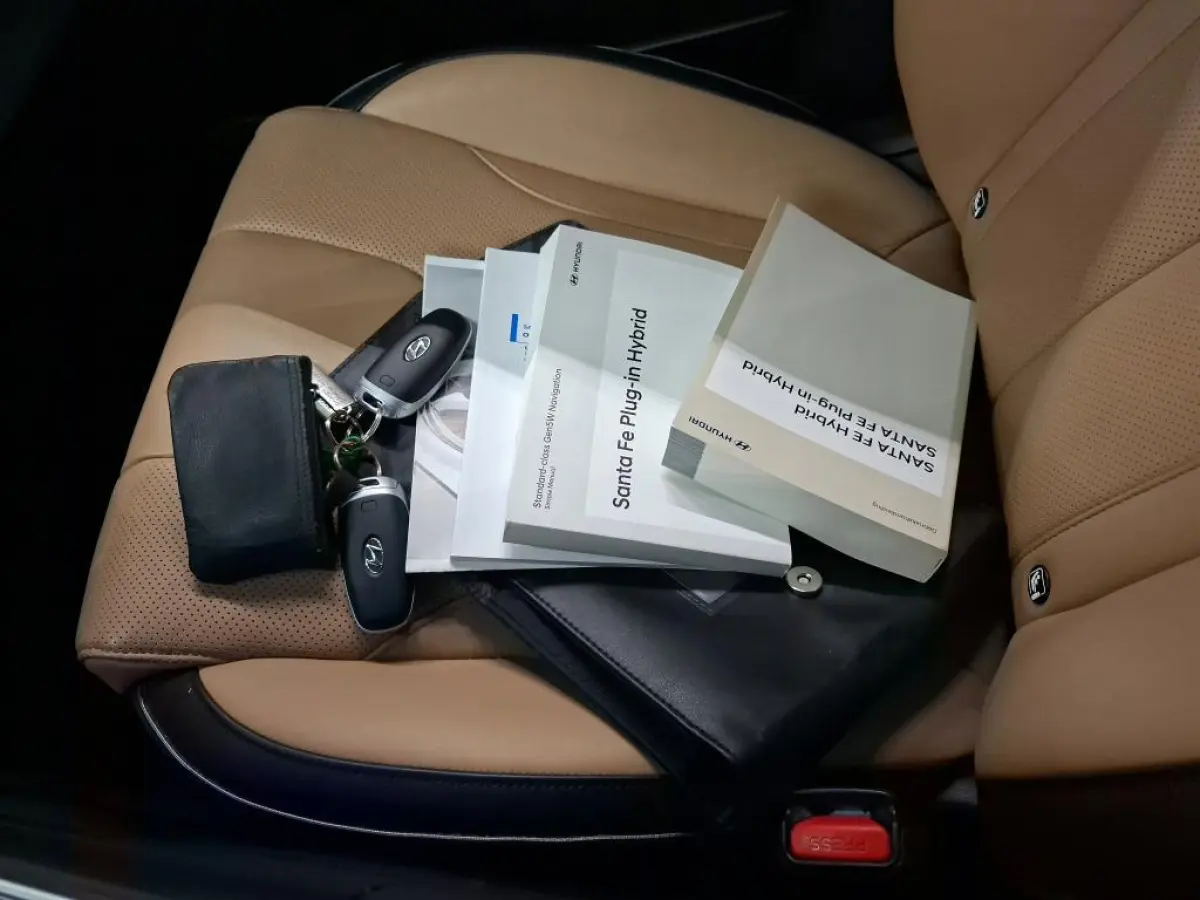 1.6 T-GDI PHEV PREMIUM 7-PERS (100% SOH) I AUTOMAAT I TREKHAAK I ADAPTIVE CRUISE CONTROL I LEDEREN BEKLEDING