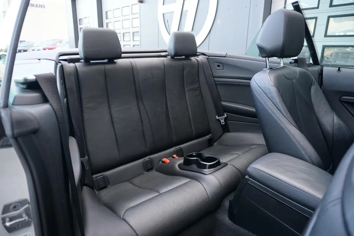 220i High Executive + CAMERA / LEDER / STOELVERWARMING / GROOT SCHERM