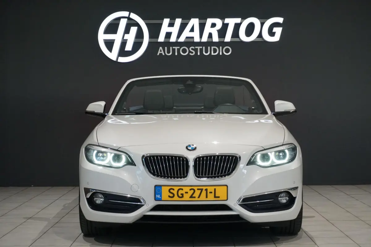 220i High Executive + CAMERA / LEDER / STOELVERWARMING / GROOT SCHERM