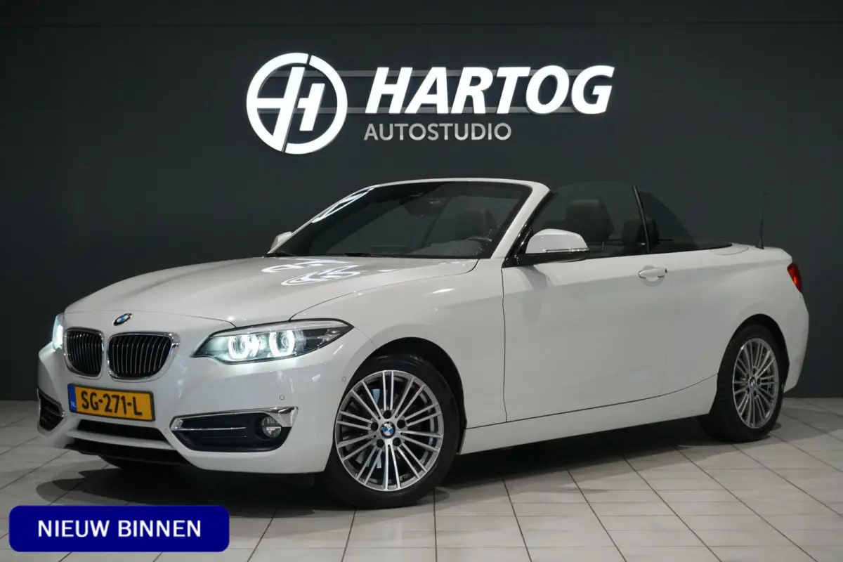 220i High Executive + CAMERA / LEDER / STOELVERWARMING / GROOT SCHERM