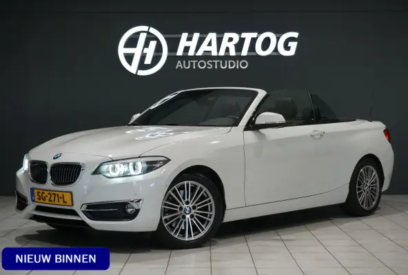 220i High Executive + CAMERA / LEDER / STOELVERWARMING / GROOT SCHERM