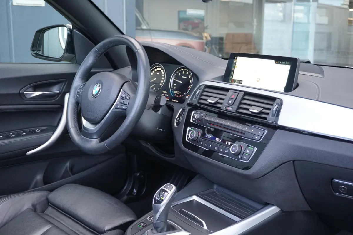 220i High Executive + CAMERA / LEDER / STOELVERWARMING / GROOT SCHERM