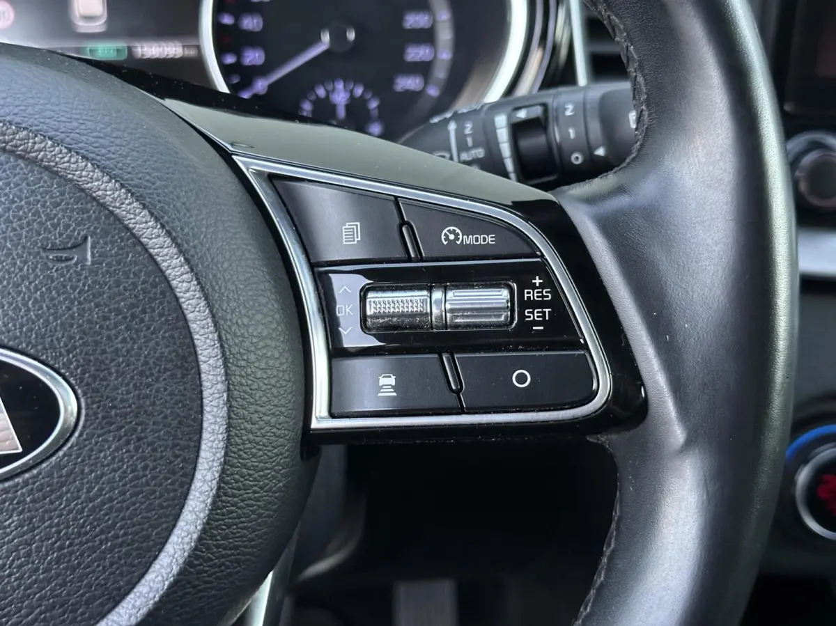 1.6 GDI PHEV DynamicPlusLine Trekhaak!