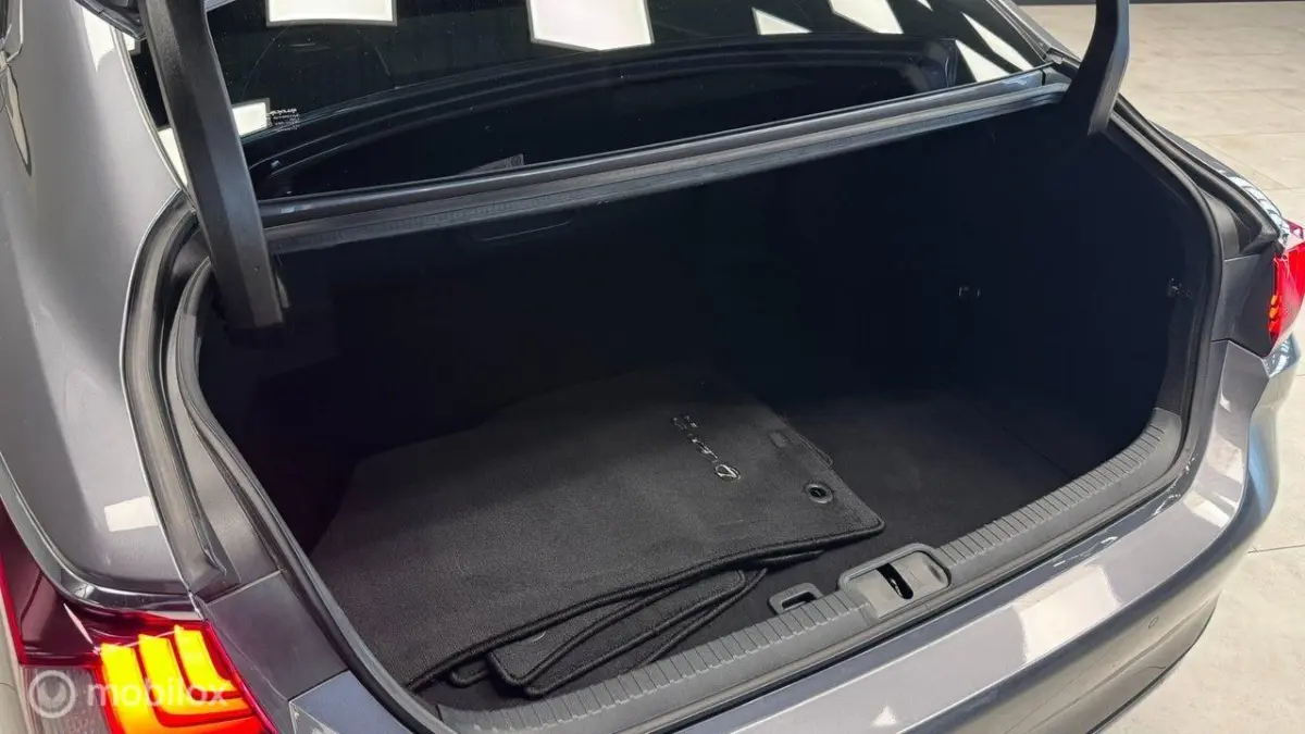 Executive Line, Mark Levinson, schuifdak