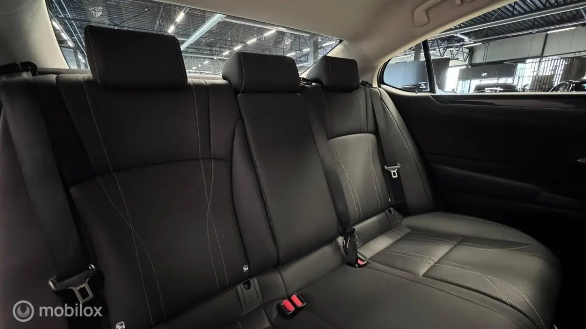 Executive Line, Mark Levinson, schuifdak