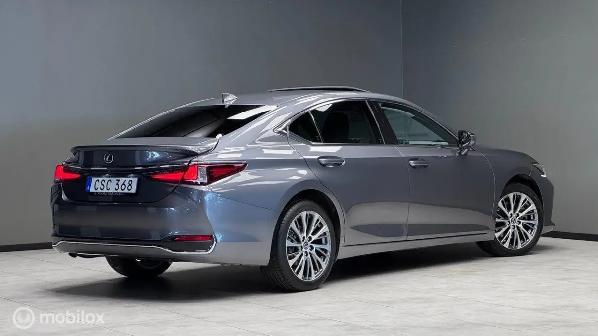 Executive Line, Mark Levinson, schuifdak