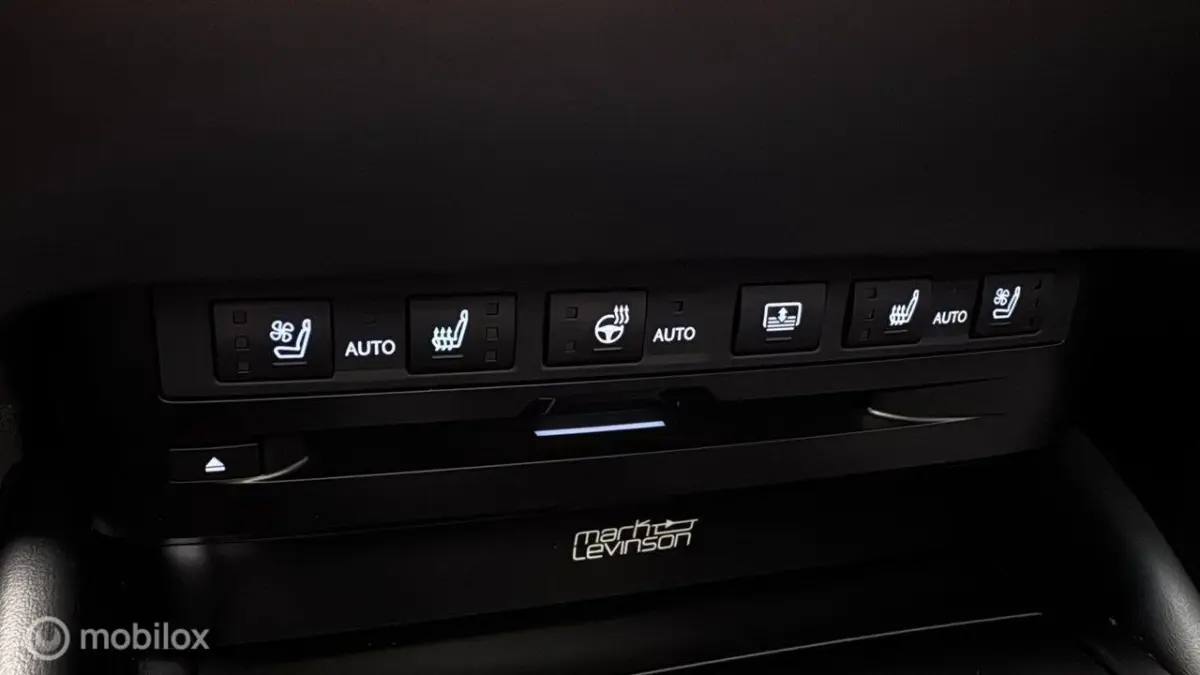 Executive Line, Mark Levinson, schuifdak