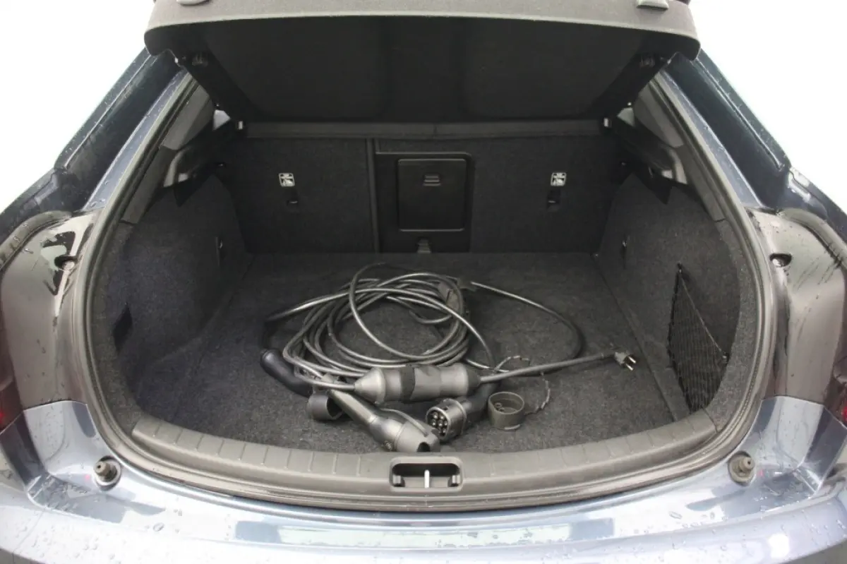 Standard Range Single Motor 63kWh - Carplay, Camera, Stoelverw. Memory, SOH 89,02%