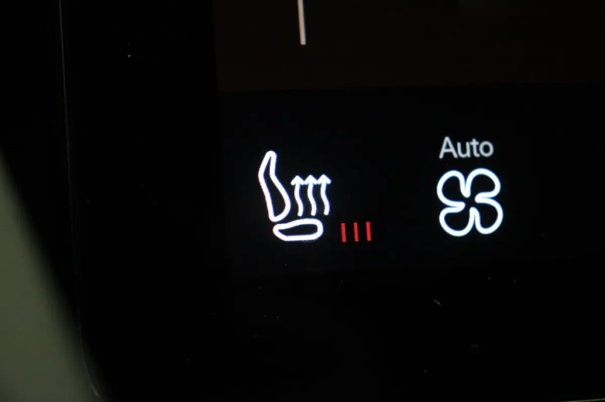 Standard Range Single Motor 63kWh - Carplay, Camera, Stoelverw. Memory, SOH 89,02%